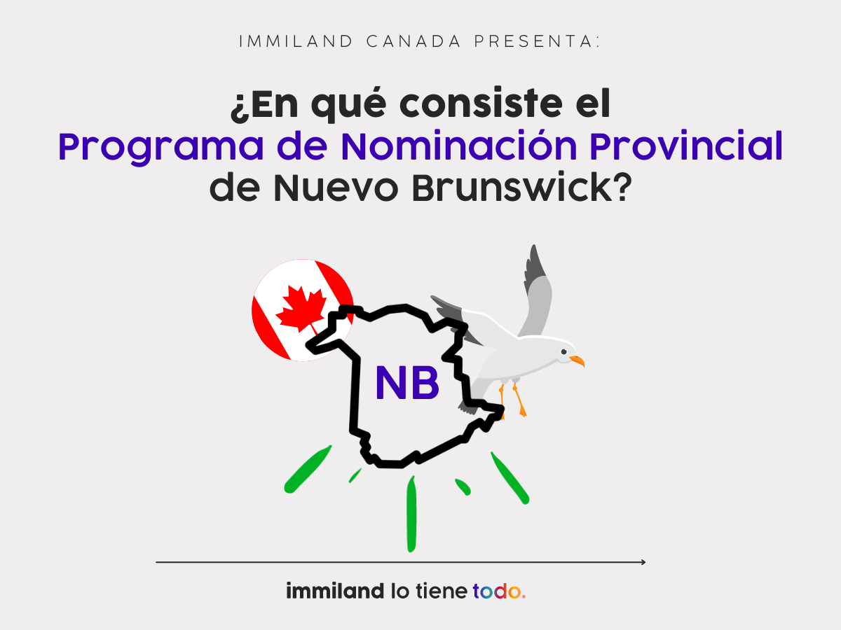 ¿En qué consiste el Programa de Nominación Provincial de Nuevo Brunswick para solicitantes de